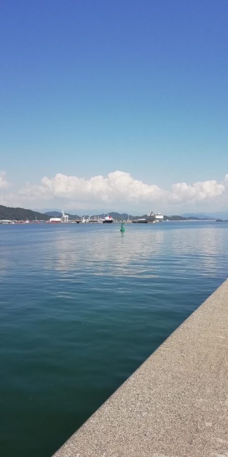 ライトショアジギング