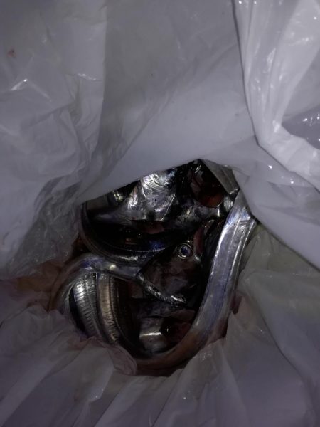 タチウオワインド