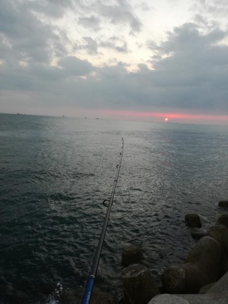 タチウオワインド