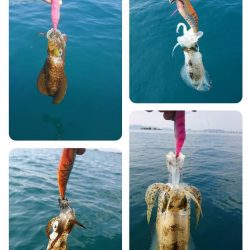 秋烏賊ボートエギング