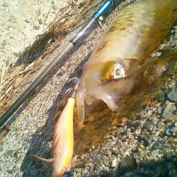 風とうねりで･・･・！