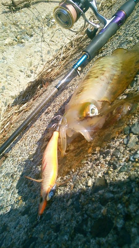 風とうねりで･・･・！