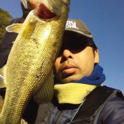 寒くなってきていますが…