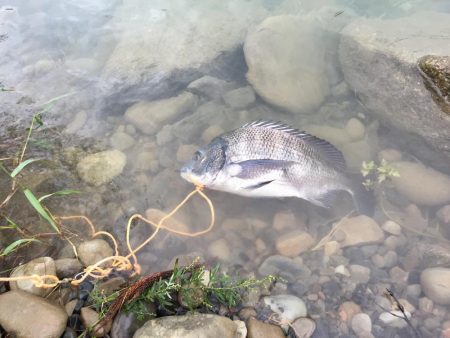 台風前の食料調達