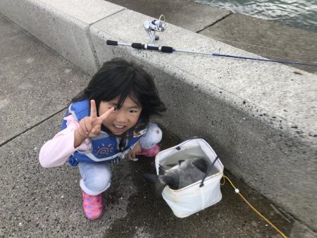 沙美西海水浴場　チヌ釣れた