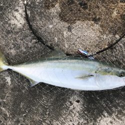 何とか目標達成