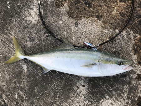 何とか目標達成