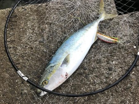 シーズン終盤渋い