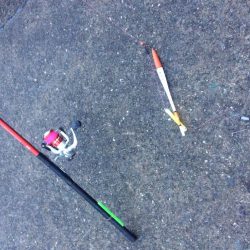 釣り2回目 タチウオ