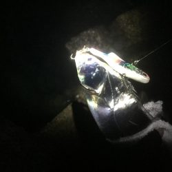 ルアーでタチウオ