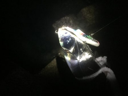 ルアーでタチウオ