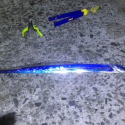 夜通しの刀狩り