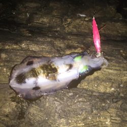 サイズはいいものの…