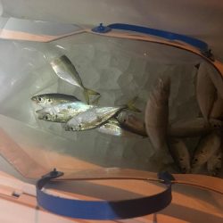 エギングのはずが、、