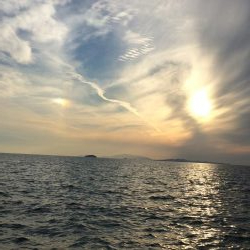 仕事が半ドンだったんで暇つぶし