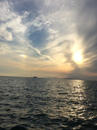 仕事が半ドンだったんで暇つぶし