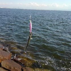 人多すぎ！マナーが…！