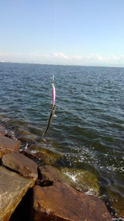 人多すぎ！マナーが…！