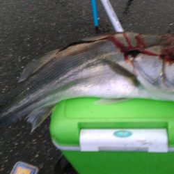 通った会あったなー