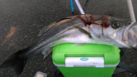 通った会あったなー