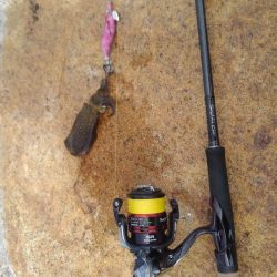 台風後のデイエギング