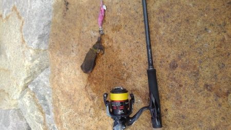 台風後のデイエギング