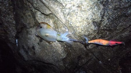 まだまだ渋い( ´-ω-)