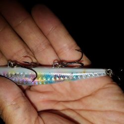 リバーシーバス