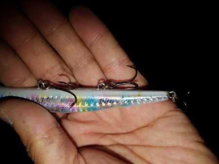 リバーシーバス