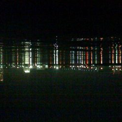 なんとかボウズ逃れ