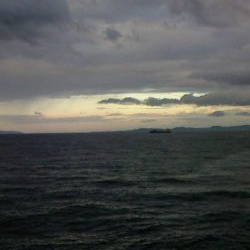 青物狙いのはずが