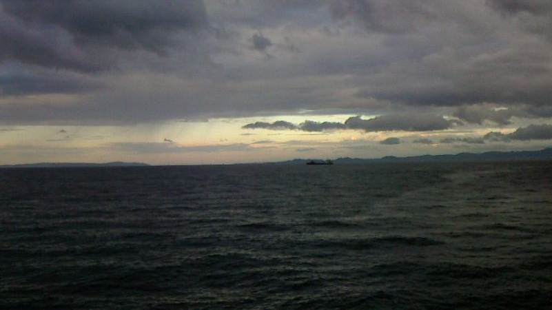 青物狙いのはずが