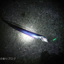 タチウオのウキ釣り