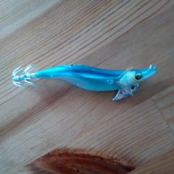 続エギング修行