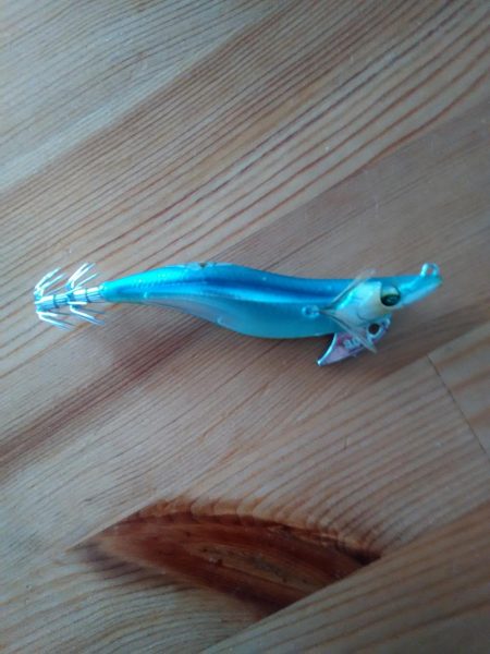 続エギング修行