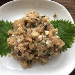 太刀魚やいまだ釣れています。アオリイカなども