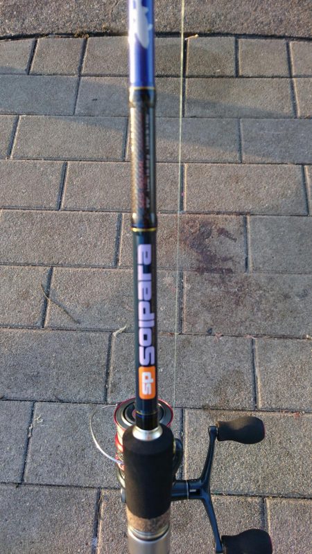 今ｼｰｽﾞﾝ初の夕まずめ釣行