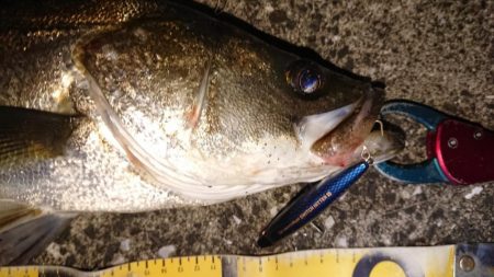 スイミングシンペンでしてやったり！