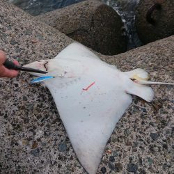 予想外の大物が…