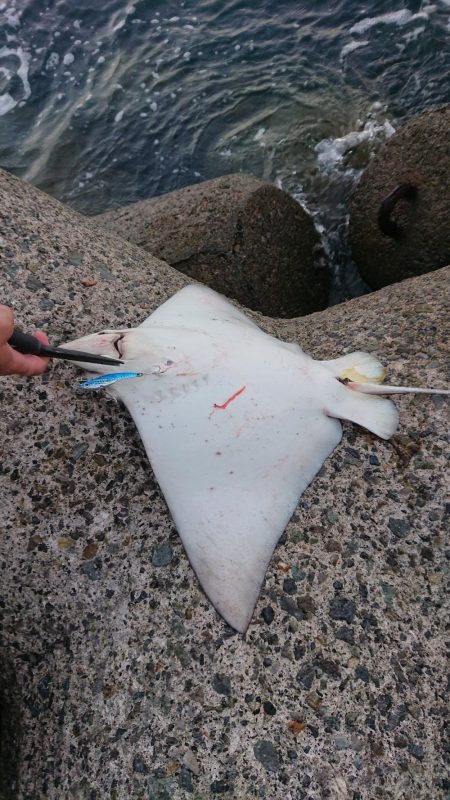 予想外の大物が…