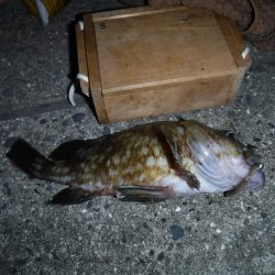 虫ヘッドで五目釣り