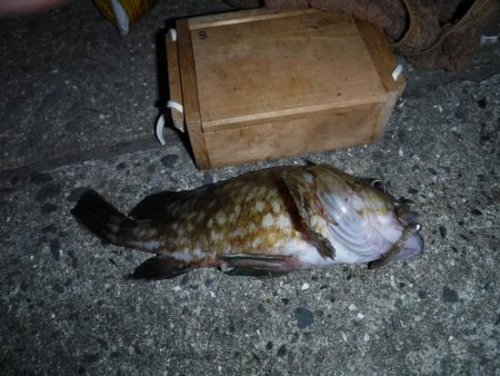 虫ヘッドで五目釣り