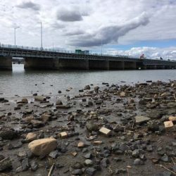 淀川・海老江のハゼ釣り