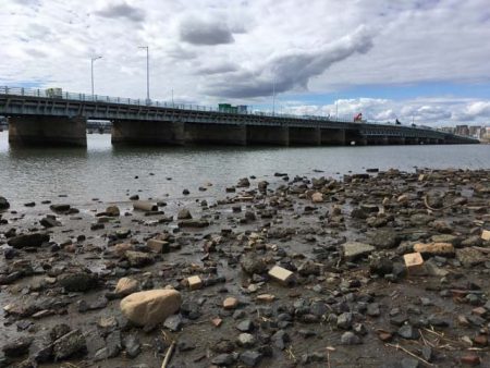 淀川・海老江のハゼ釣り