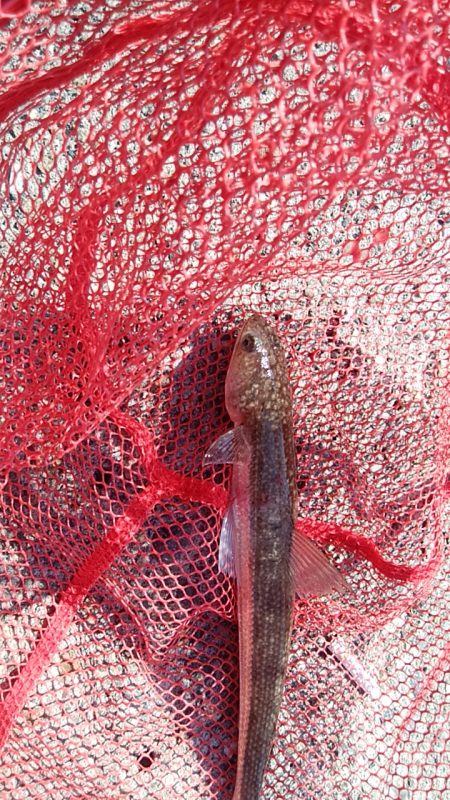 ショアジギング6