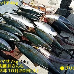 大物釣果速報!●光義丸:平戸市早福港