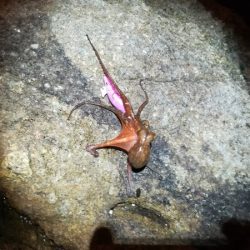 ちがうだろーちがうだろーー！！