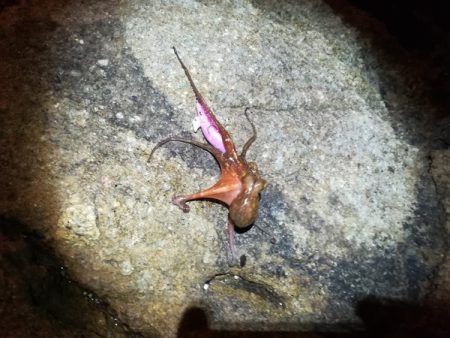 ちがうだろーちがうだろーー！！