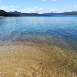 イカがダメならジグを投げればアレが釣れる