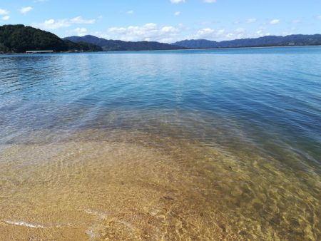 イカがダメならジグを投げればアレが釣れる